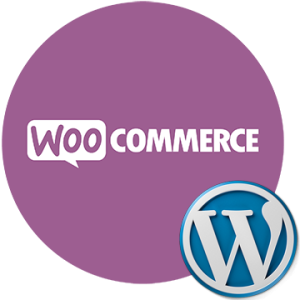 Mantenimiento Web Woocommerce Wordpress